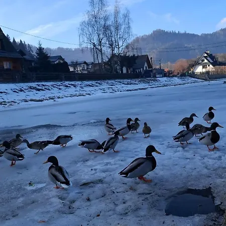 Biala Skala