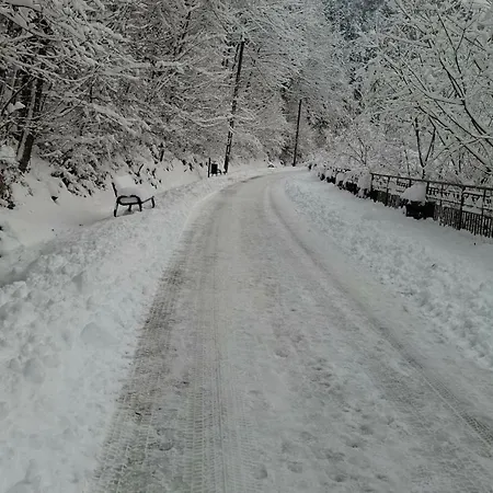 Biala Skala * Szczawnica